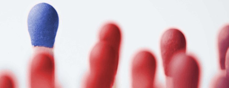 banner image
