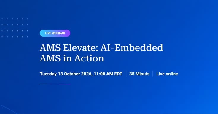 AI-Embedded AMS in Action