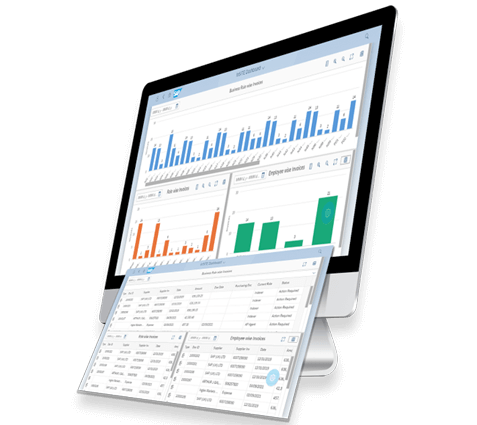 Accounts Payable Reports and Analytics