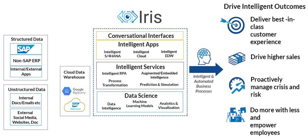 Intelligent Enterprise Solutions 