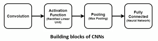 Convolutional Neural Network