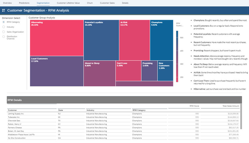 Intelligent Customer Analytics