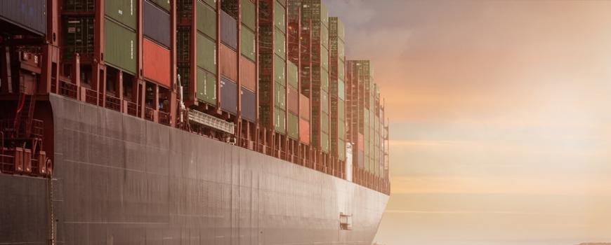 SAP Transportation Management