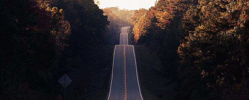 Road Ahead for SAP in 2020